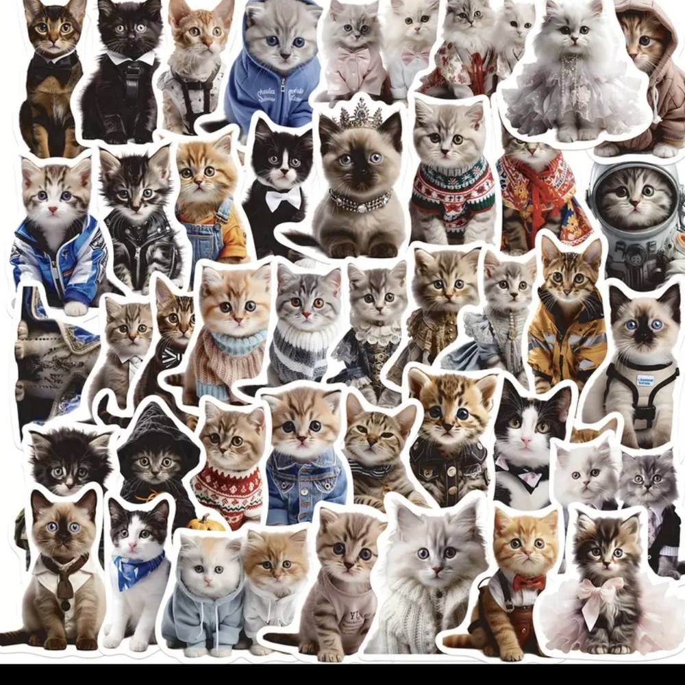 Black and Gray Cat Sticker Collection